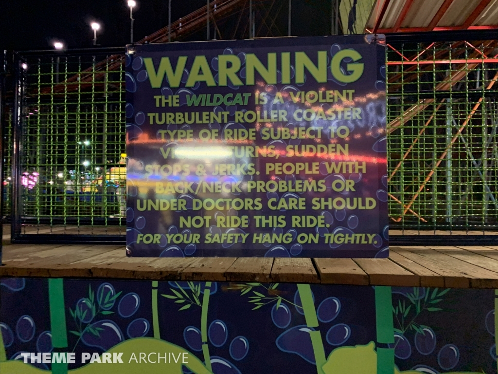 Wild Cat at Washington State Fair