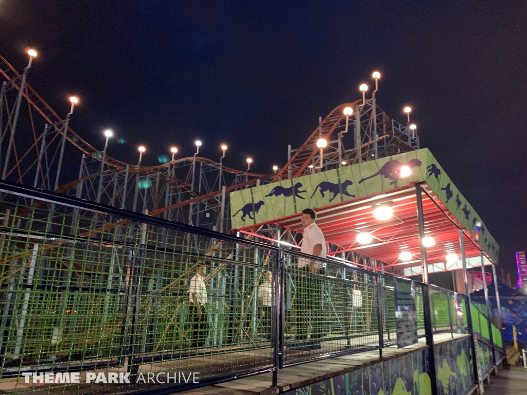 Wild Cat at Washington State Fair