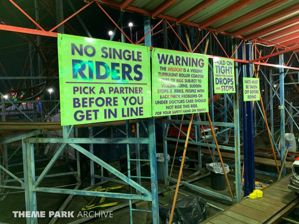 Wild Cat at Washington State Fair