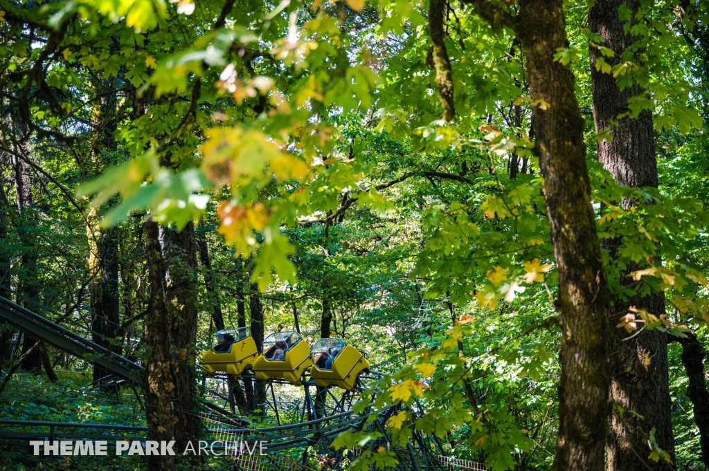Ice Mountain Bobsled Roller Coaster at Enchanted Forest