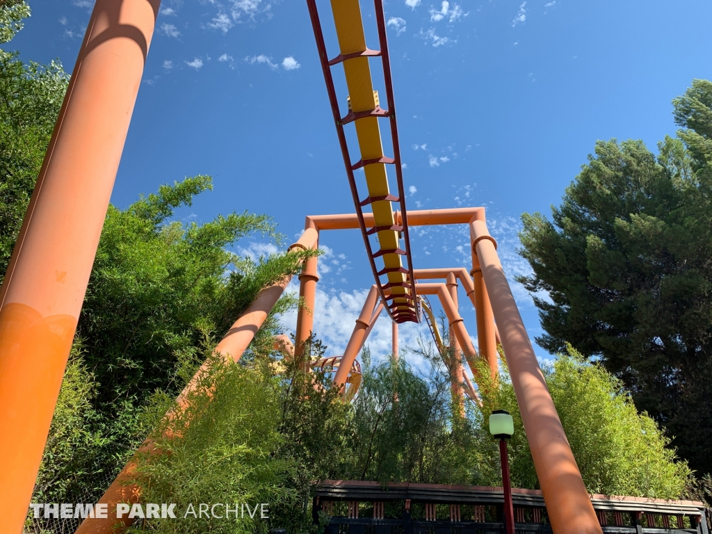 Tatsu at Six Flags Magic Mountain
