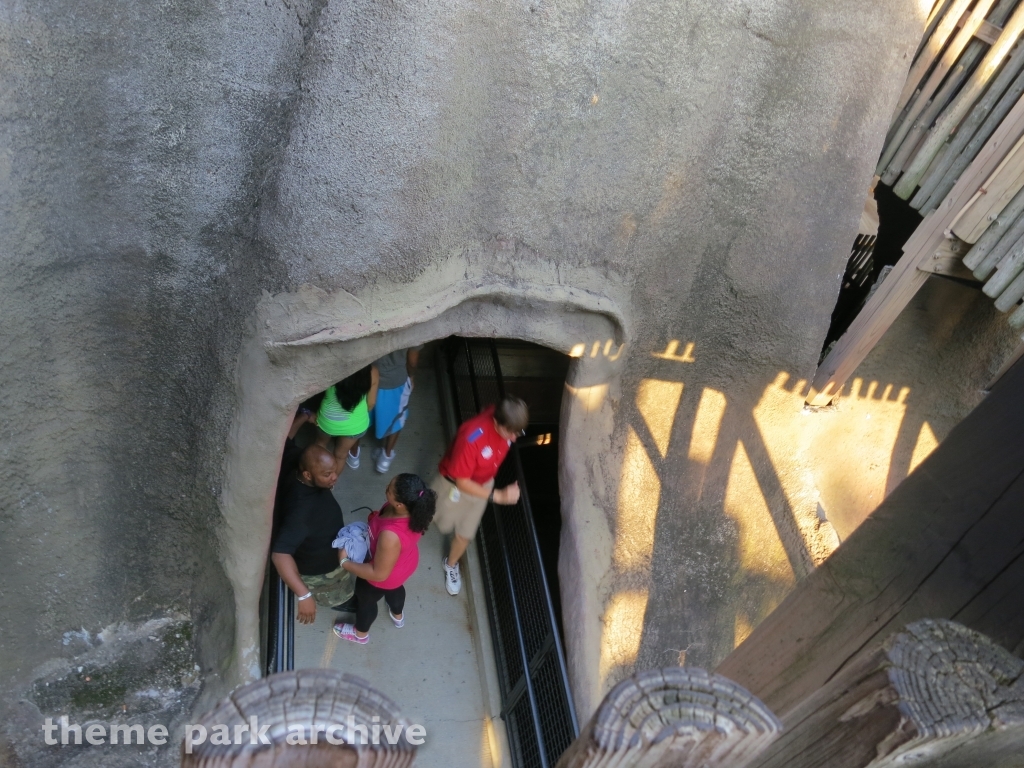 Volcano: The Blast Coaster at Kings Dominion