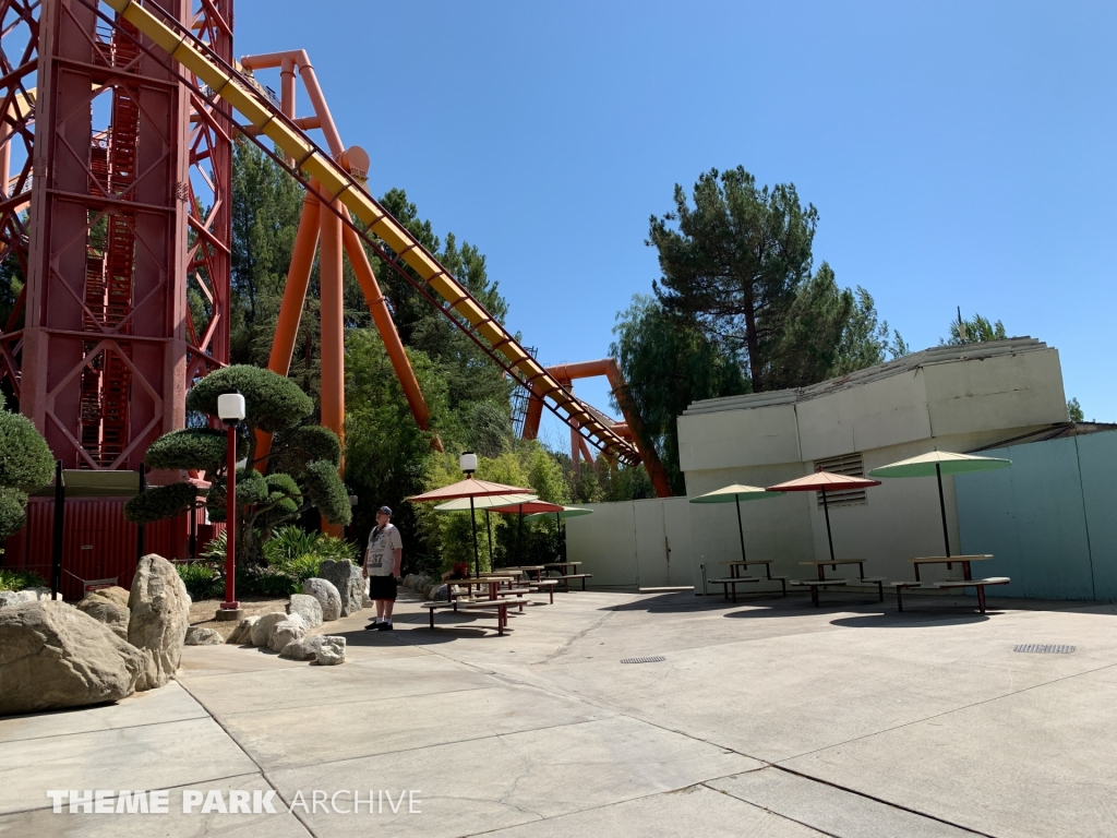 Tatsu at Six Flags Magic Mountain