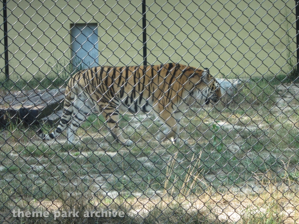 Wild Safari at Six Flags Great Adventure