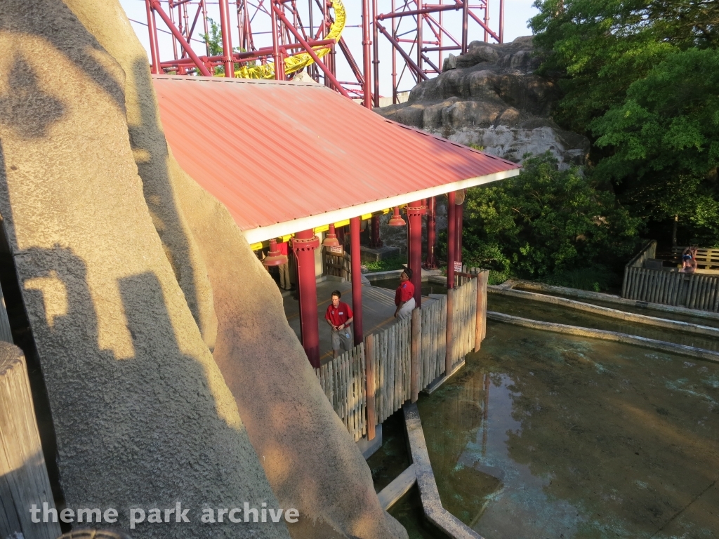 Volcano: The Blast Coaster at Kings Dominion