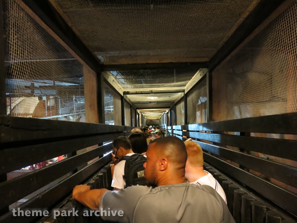 Volcano: The Blast Coaster at Kings Dominion