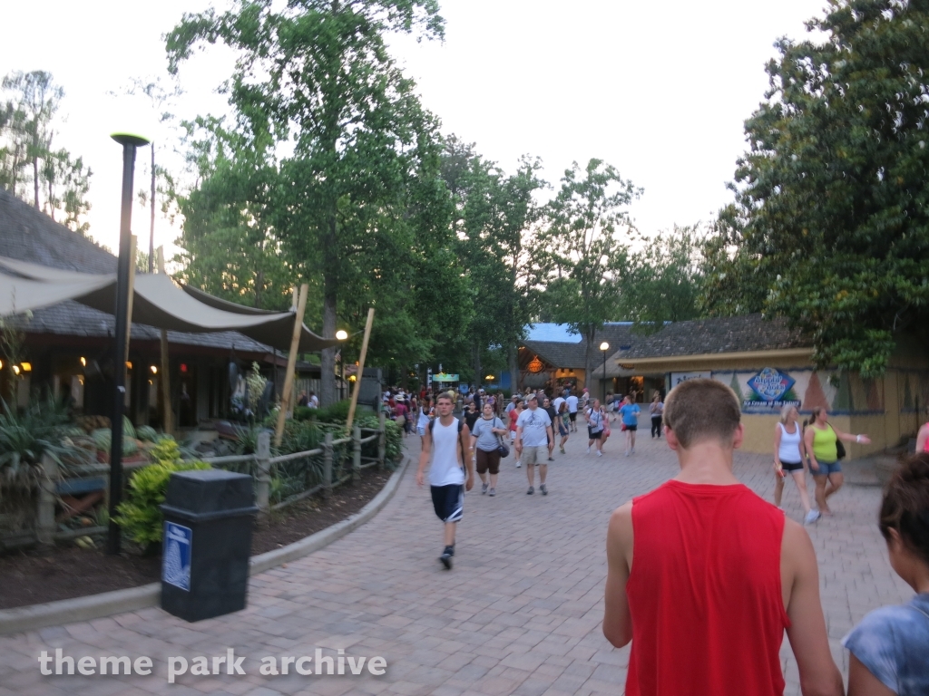 Congo at Kings Dominion