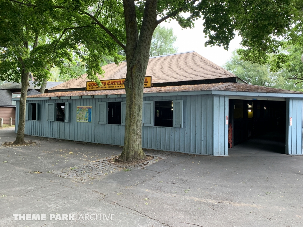 Bumper Cars at Centreville Amusement Park