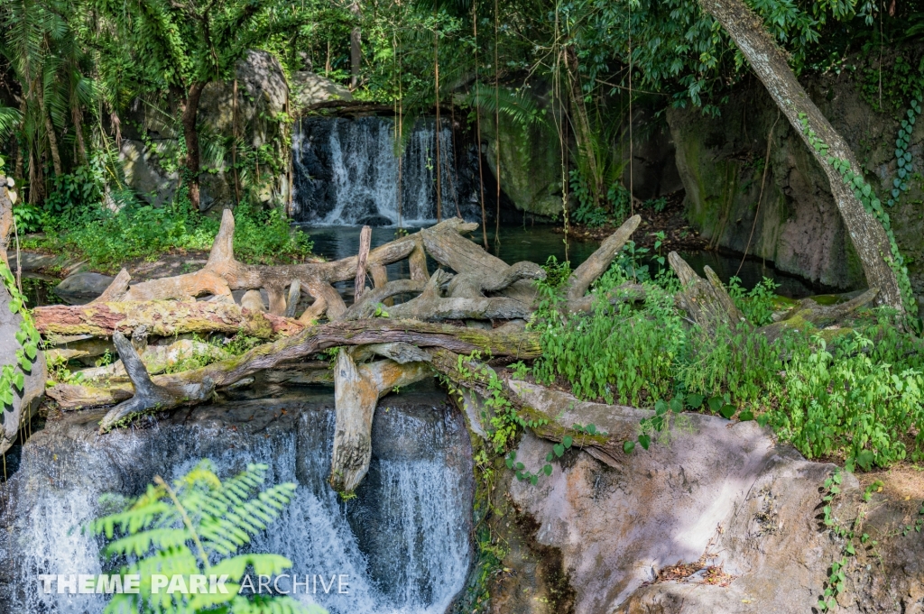 Kilimanjaro Safaris at Disney's Animal Kingdom