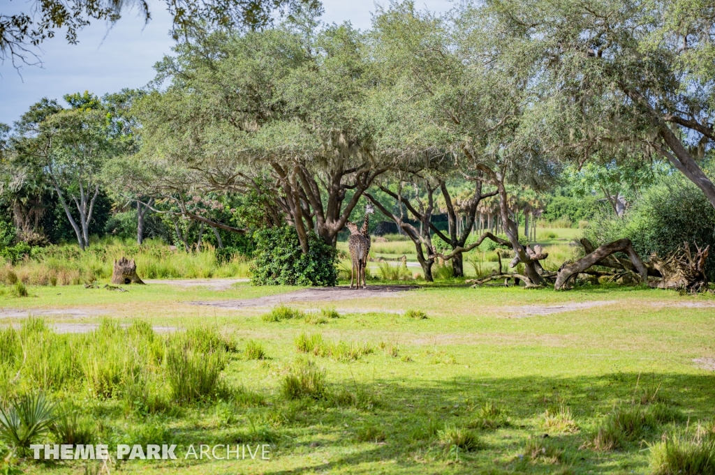Kilimanjaro Safaris at Disney's Animal Kingdom