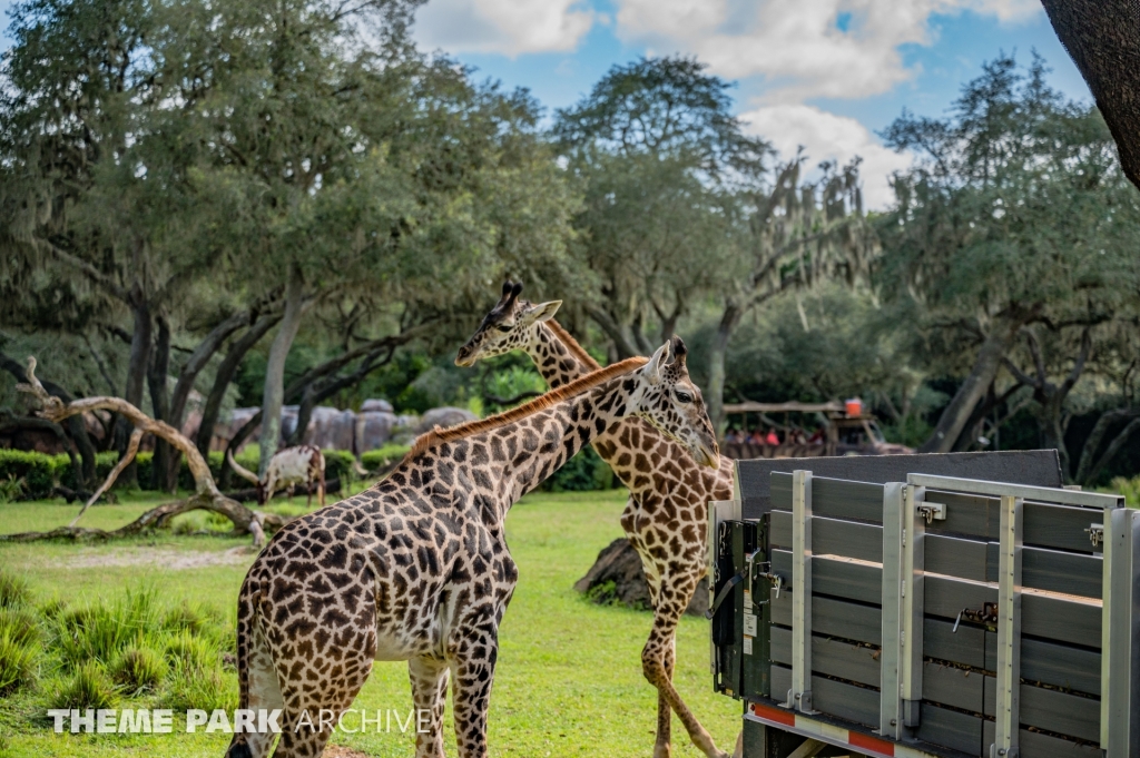 Kilimanjaro Safaris at Disney's Animal Kingdom