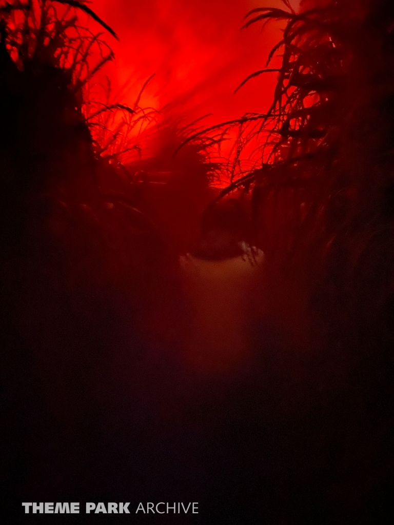 HalloWeekends at Cedar Point