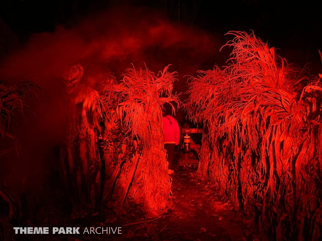 HalloWeekends at Cedar Point