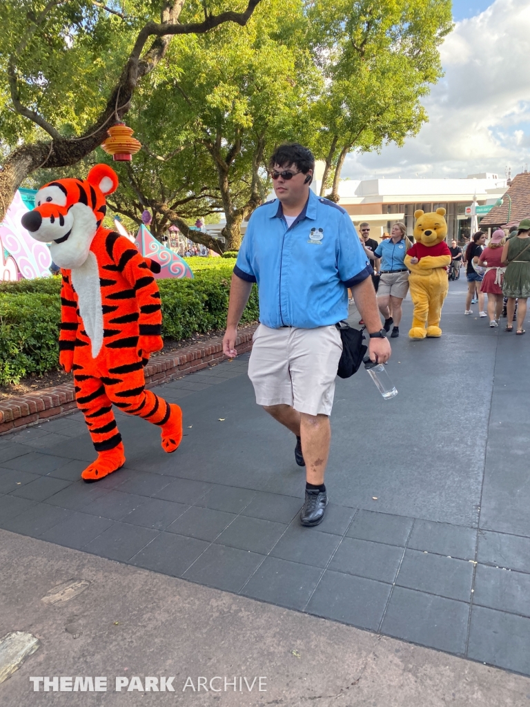 Fantasyland at Magic Kingdom