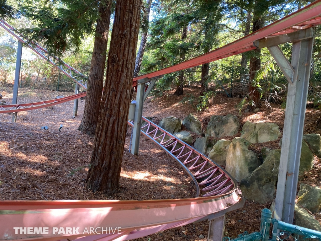 Timber Twister at Gilroy Gardens