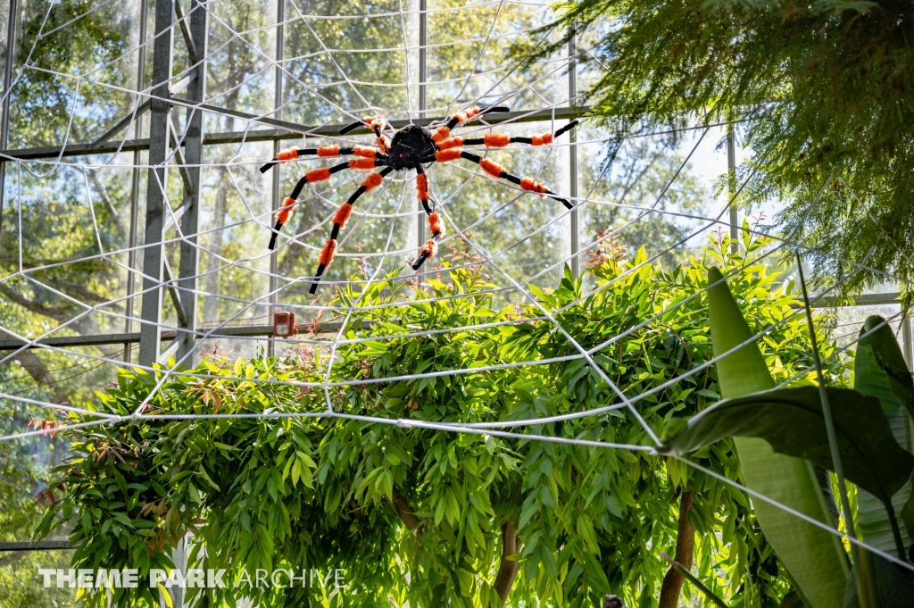 Monarch Garden at Gilroy Gardens
