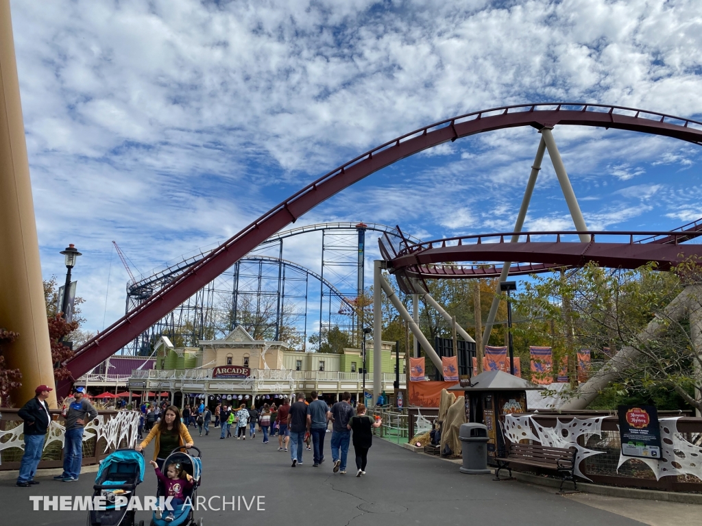Diamondback at Kings Island