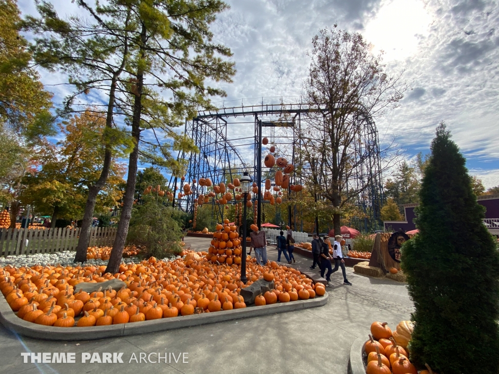 Vortex at Kings Island