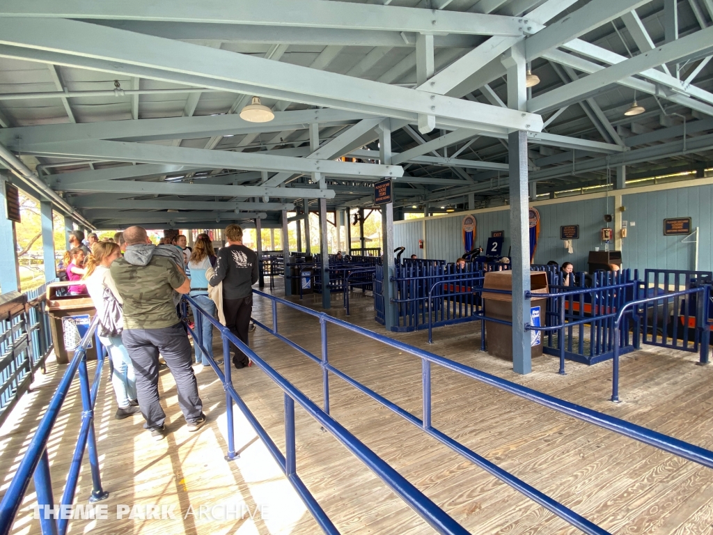 Vortex at Kings Island