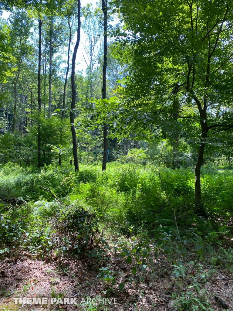 Loyalhanna Limited at Idlewild and SoakZone