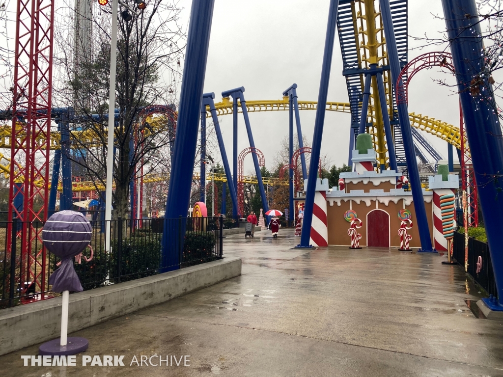 Nighthawk at Carowinds