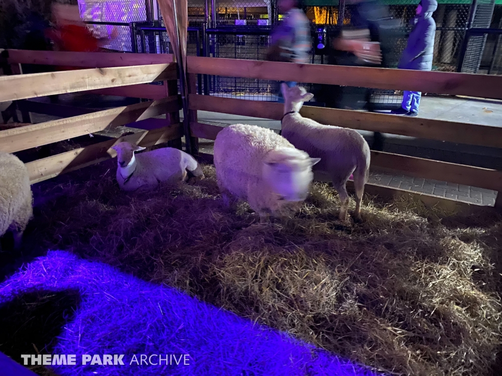 Candy Apple Grove at Kings Dominion