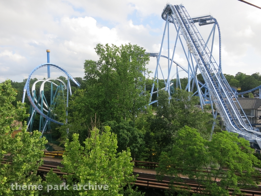 Griffon at Busch Gardens Williamsburg