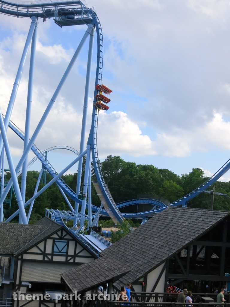 Griffon at Busch Gardens Williamsburg