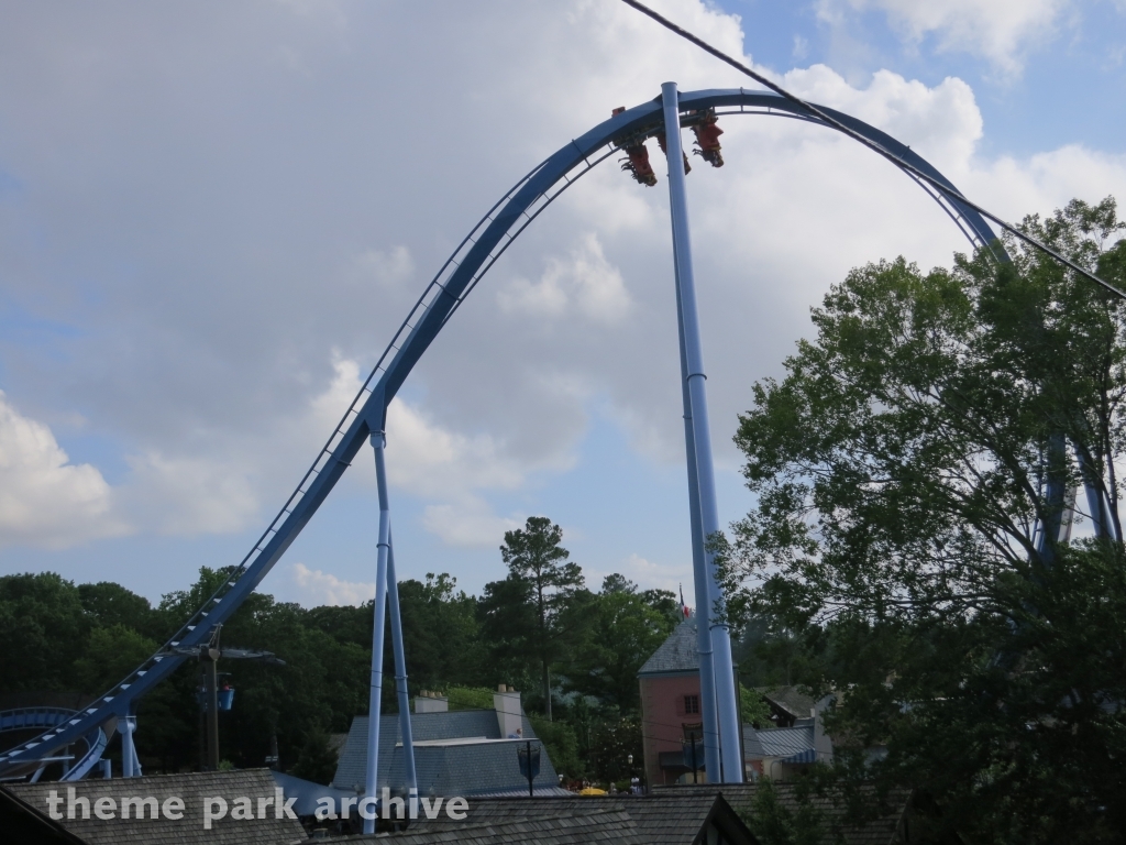 Griffon at Busch Gardens Williamsburg