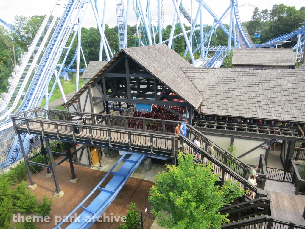 Griffon at Busch Gardens Williamsburg