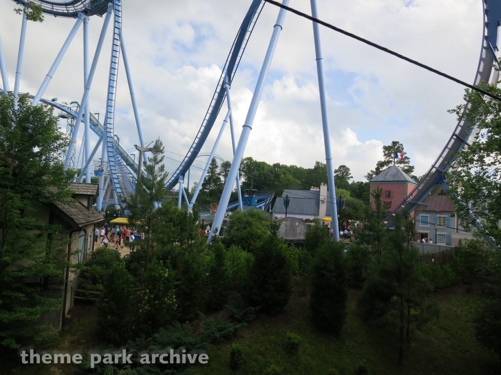 Griffon at Busch Gardens Williamsburg