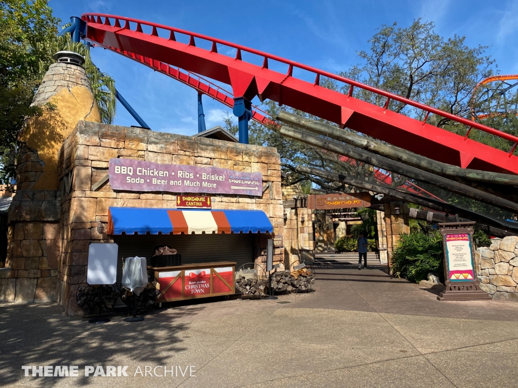 Sheikra at Busch Gardens Tampa