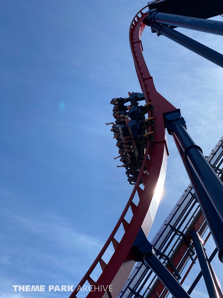 Sheikra at Busch Gardens Tampa