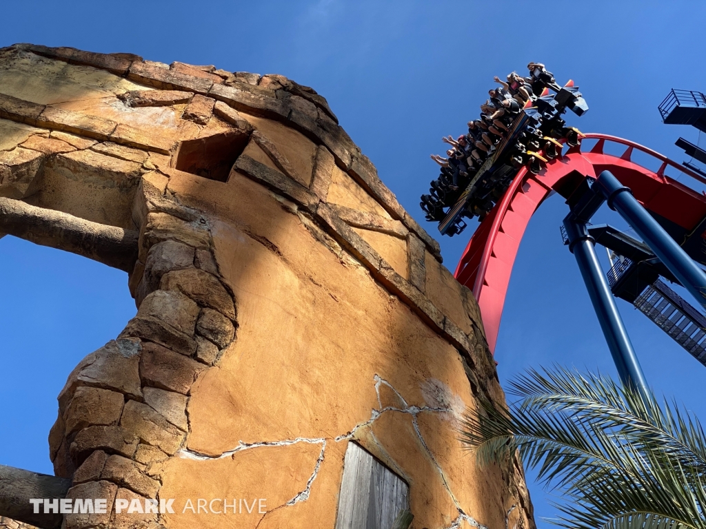 Sheikra at Busch Gardens Tampa