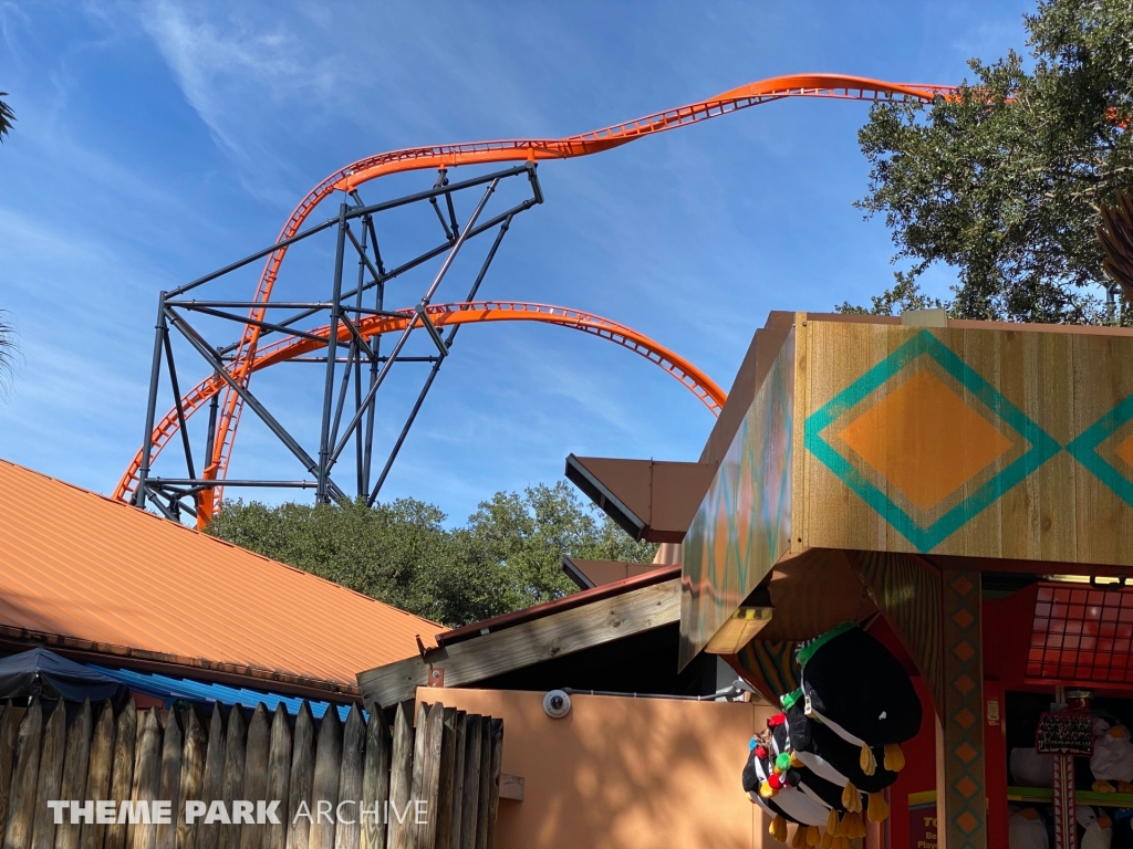 Tigris at Busch Gardens Tampa