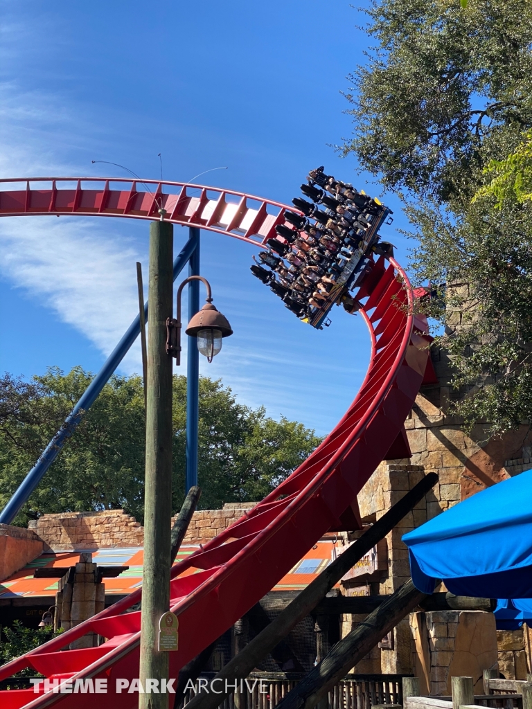 Sheikra at Busch Gardens Tampa