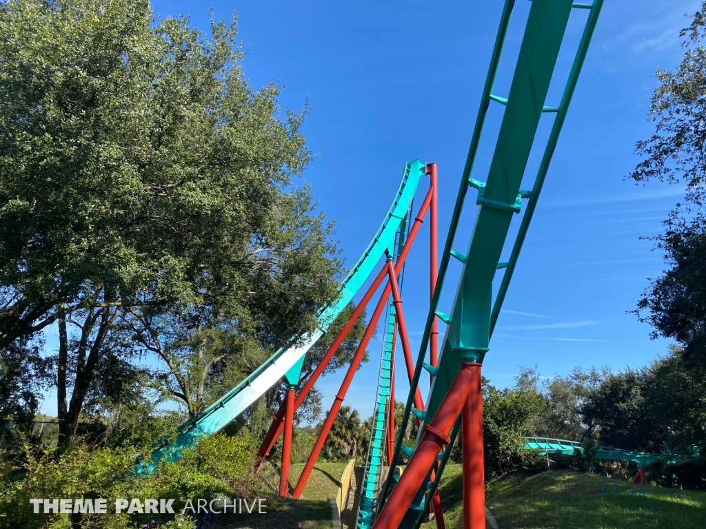 Kumba at Busch Gardens Tampa