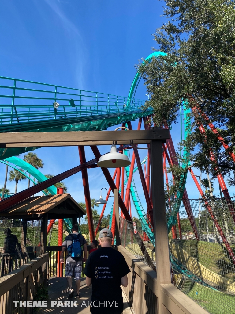 Kumba at Busch Gardens Tampa