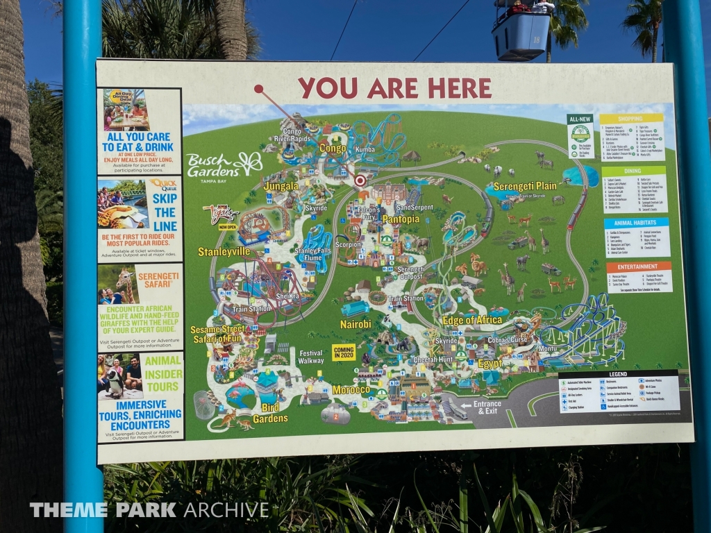 Congo at Busch Gardens Tampa