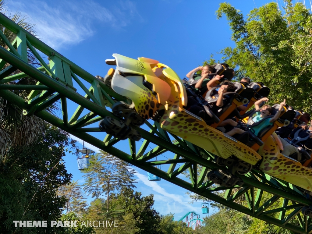 Cheetah Hunt at Busch Gardens Tampa