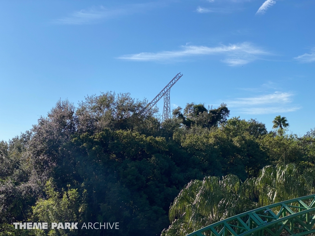 Iron Gwazi at Busch Gardens Tampa