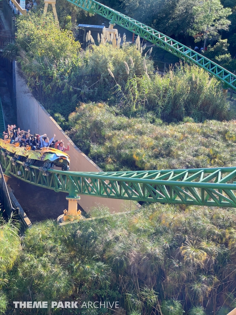 Cheetah Hunt at Busch Gardens Tampa