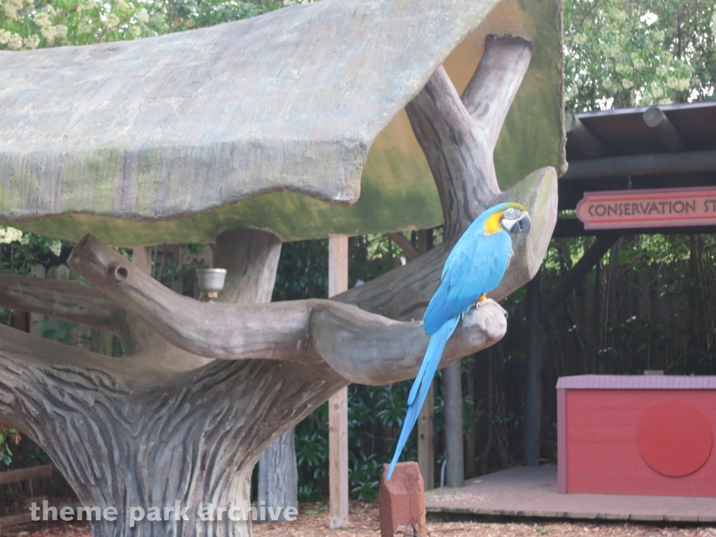 Jack Hanna's Wild Reserve at Busch Gardens Williamsburg
