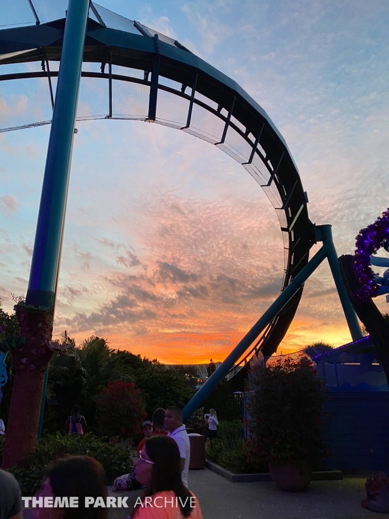 Mako at SeaWorld Orlando