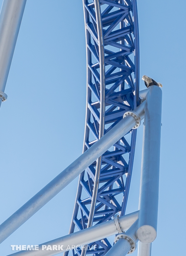 Millennium Force at Cedar Point