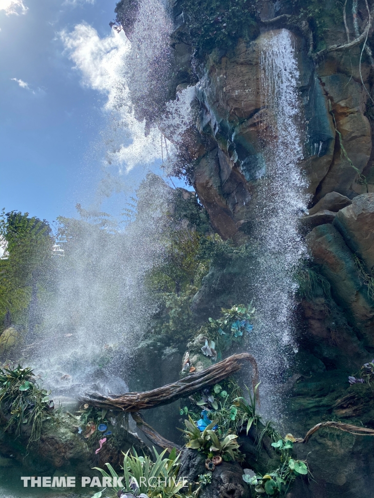 Pandora: The World of Avatar at Disney's Hollywood Studios