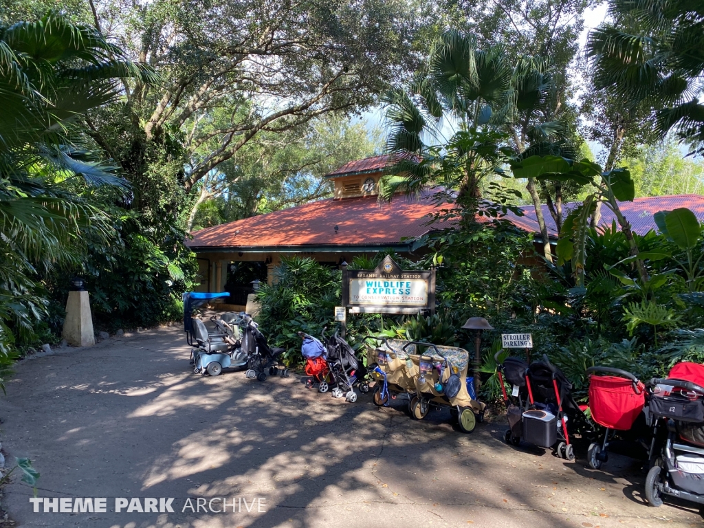Rafiki's Planet Watch at Disney's Hollywood Studios