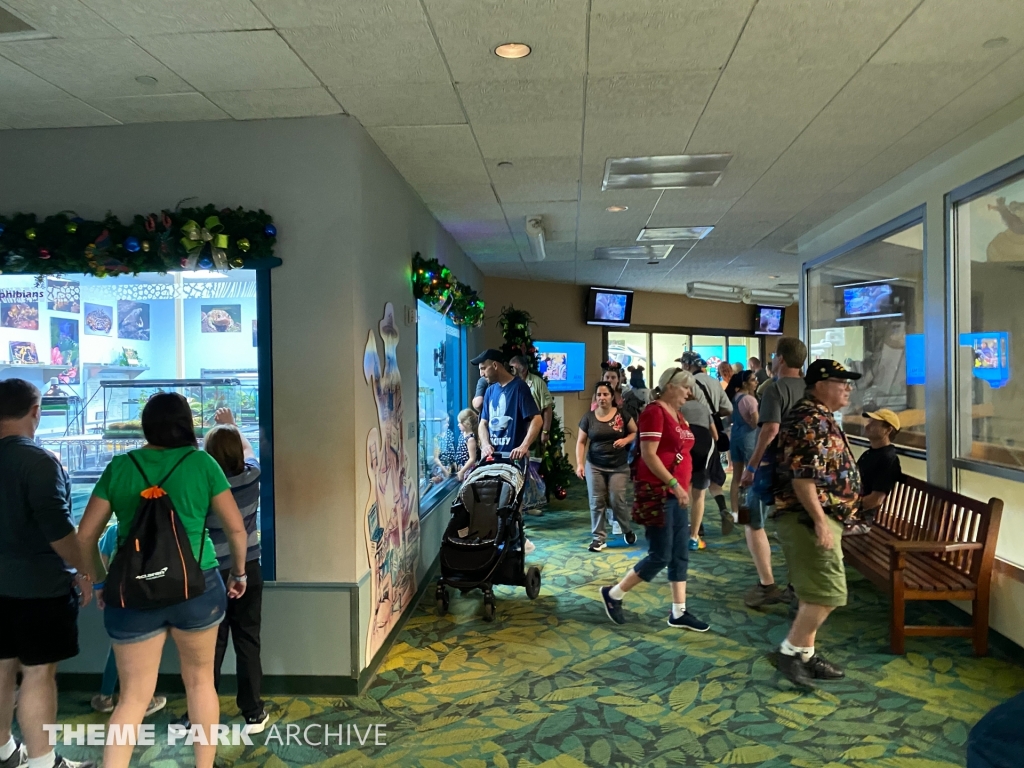 Rafiki's Planet Watch at Disney's Hollywood Studios