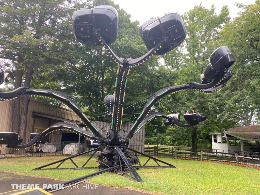 Spider at Waldameer Park