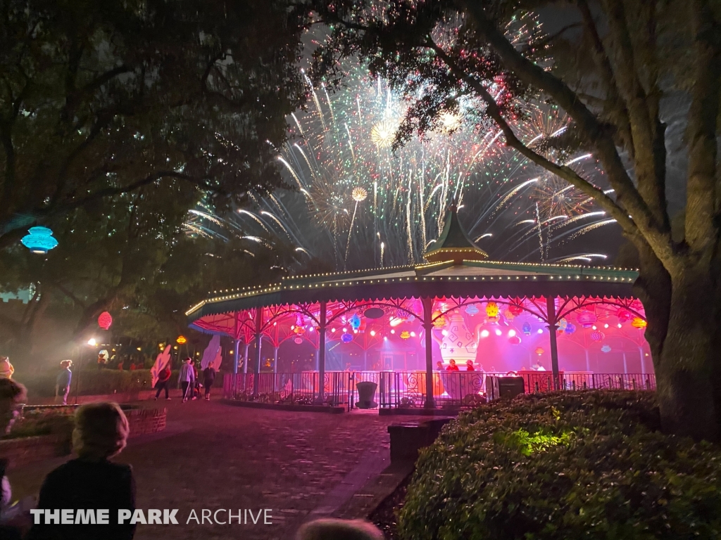 Mad Tea Party at Magic Kingdom